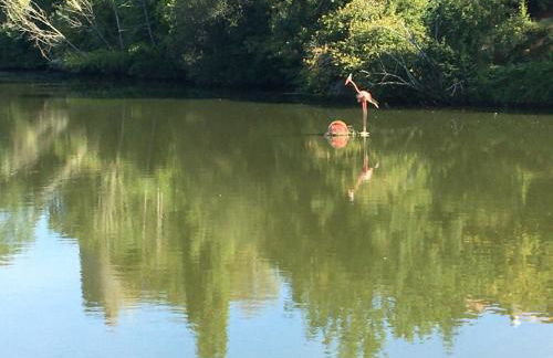 La Frouardière, 3 gîtes de charme - Photo 56