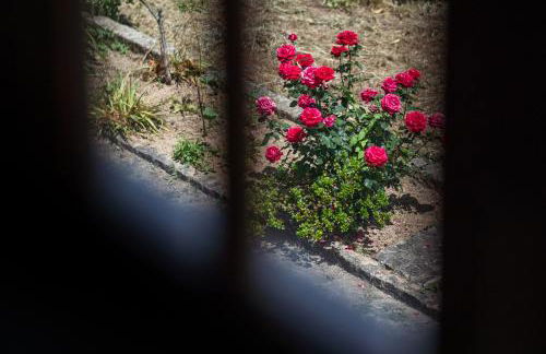 Casa Fermil do Lago - Foto 6