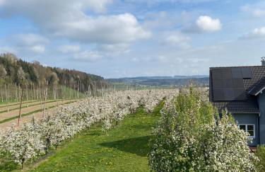 Ferienwohnung Hopfenblick Dachterasse 3SZ Bodenseeregion - Foto 27