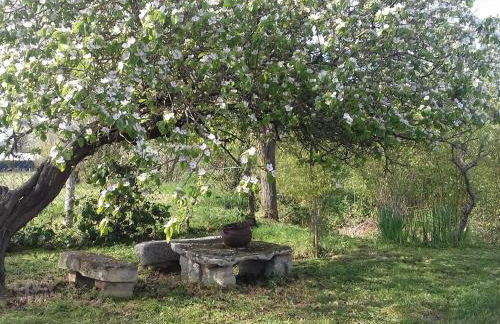 Gîte au calme avec verger, à proximité de randonnées et sites culturels - FR-1-586-9 - Foto 7