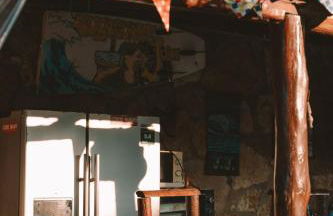 João Jungle - Foto 28