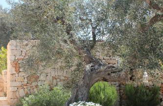 Trulli di Titti - Luxury Country House - Foto 64