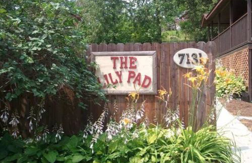 The Lily Pad at Loon Lake near Gore Mountain - Foto 21