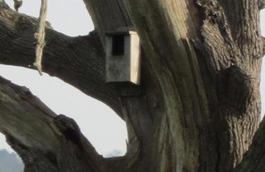 Colston Hall Cottages - Photo 78