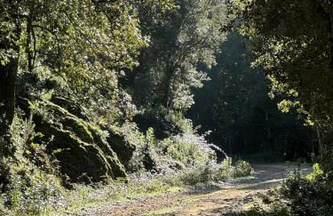 Villa Scandola - Foto 38