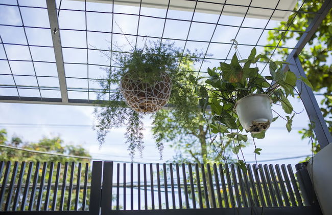 Ben's House - Foto 23