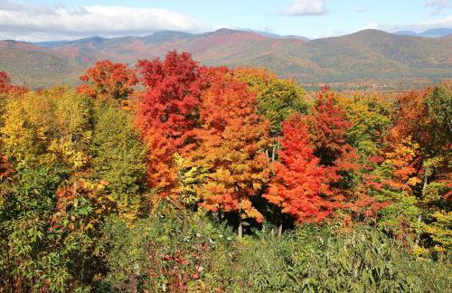 White Mountains Getaway with amazing views! - Foto 24