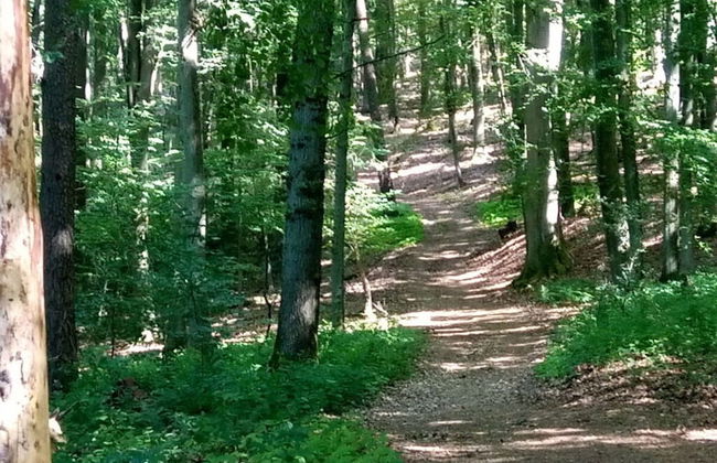 Holiday Apartment Lautertalblick - Photo 37