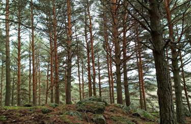 Mi Casita de Gredos - Foto 47