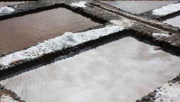 Volcano Express Lanzarote - Parc National de Timanfaya - Photo 2