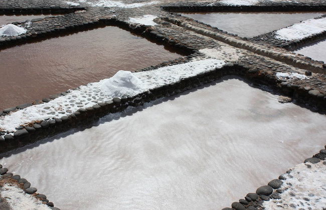 Volcano Express Lanzarote - Parc National de Timanfaya - Photo 2