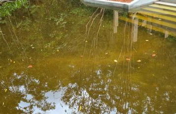 Sítio com Casa de Madeira com 2 quartos 100m2 px Centro de Salesópolis - Foto 28