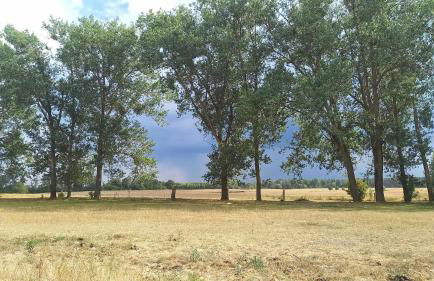 Alte Schule Qualzow - Foto 7