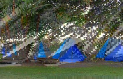 Tasman Holiday Parks - Airlie Beach - Foto 58