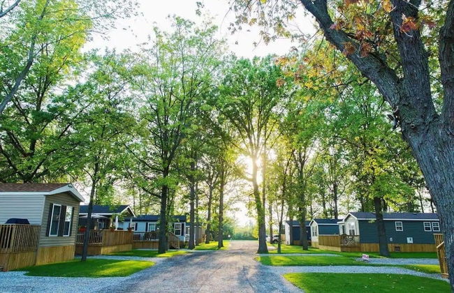 Falcon Cottages - Photo 50