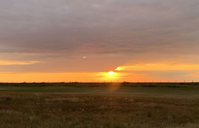 Beachcomber Seafront Pet Friendly Cottage - Foto 24