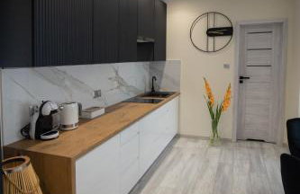 Aparthouse Kretowiny - Foto 8