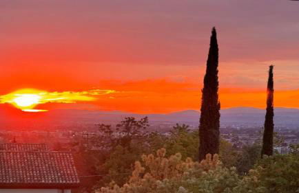 villa allegria - Photo 70