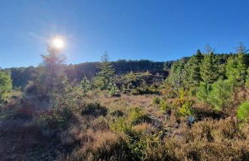 Gîte de Chanabière - Foto 21