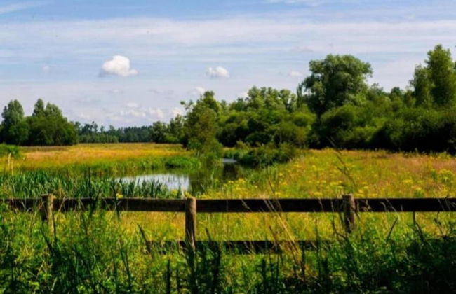 Luxe Lodge Near Schaijk - Photo 38