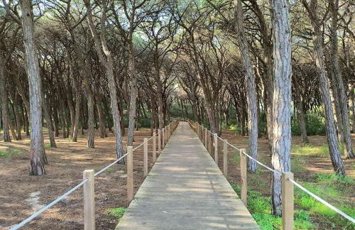 Apartamento "Vila Serena Marisol" - Foto 19