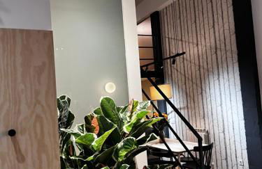 SG Apartamentos, Silió 4B AT 47-79 - Foto 10