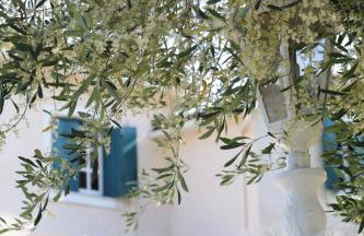 Valentino Corfu - Photo 46