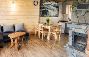 Domek Dzikusówka Bieszczady Solina Polańczyk - Foto 3