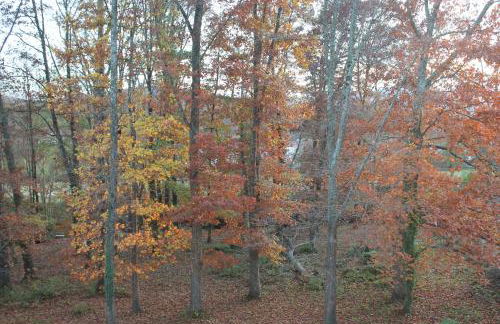 Aritza Apartamentos Turísticos Rurales - Foto 42