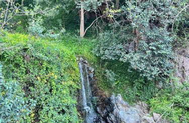 Piccola meraviglia ad Arenzano - Foto 10