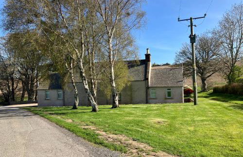 Eastwood Cottage - Photo 12
