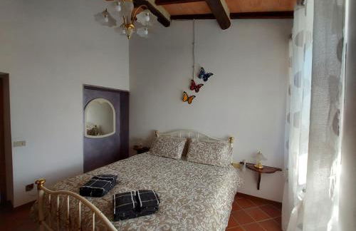 Agriturismo Capannacce - Foto 21