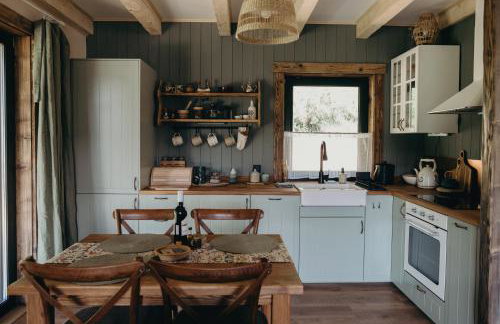 Mech i brzoza - Foto 31