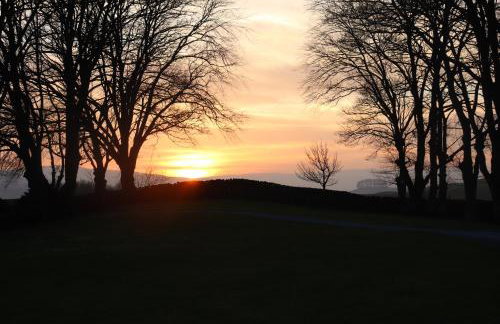 Old Camms Holiday Cottages - Photo 36