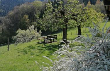 Hölbinger Alm - Apartments - Foto 15