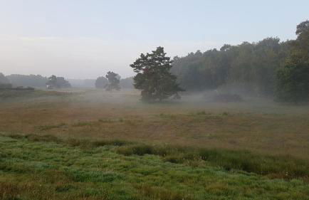 Strandlust - Foto 38