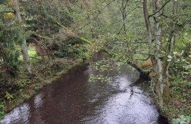 Ferienwonung mit 3 Schlafzimmer - Foto 15