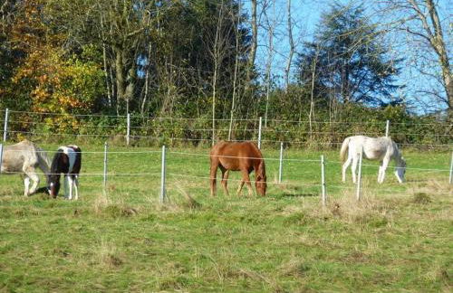 Ferienwohnung Koenig - Photo 3