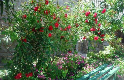 Apartment Mirni - Foto 9