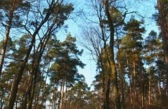 Holiday Home Landleben by Interhome - Foto 17