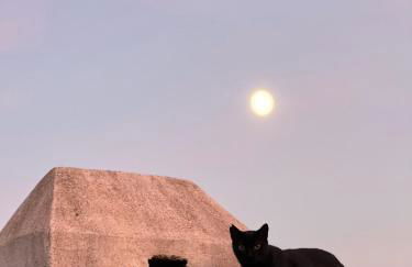 Casa Dos Galegos - Foto 20