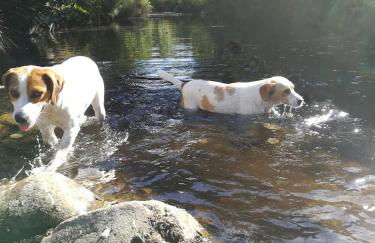 Aldeia de Moura Morta - Foto 18