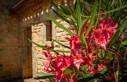 Gite Girou Haut - Foto 49