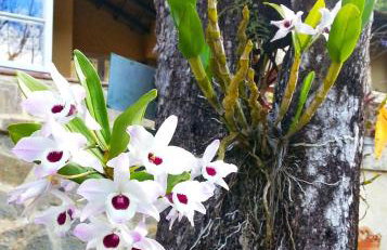 Residencial Flor- Hilda - Foto 24