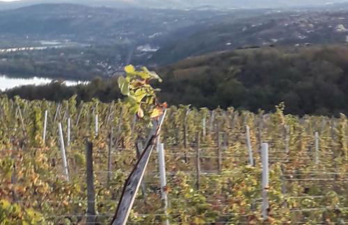 Mobile-home dans camping 4 étoiles - Foto 8