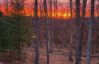 RosaLina Retreat - Foto 5