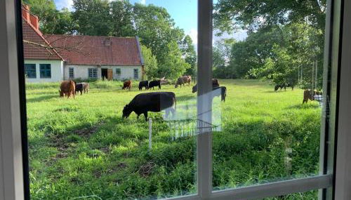 Ferienhaus Immerlicht Norddeich S-H - Foto 4