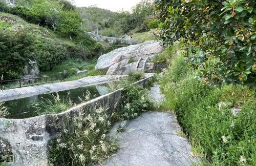 Bodeguita del Tiétar - Foto 48