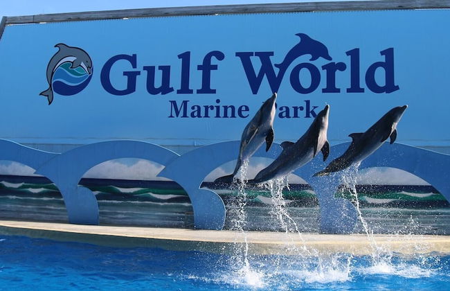 St Thomas Square 1310b - Foto 18