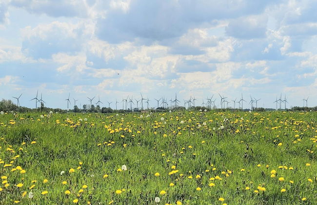 Ferienwohnung Tiefblick, Dornumersiel - Foto 38